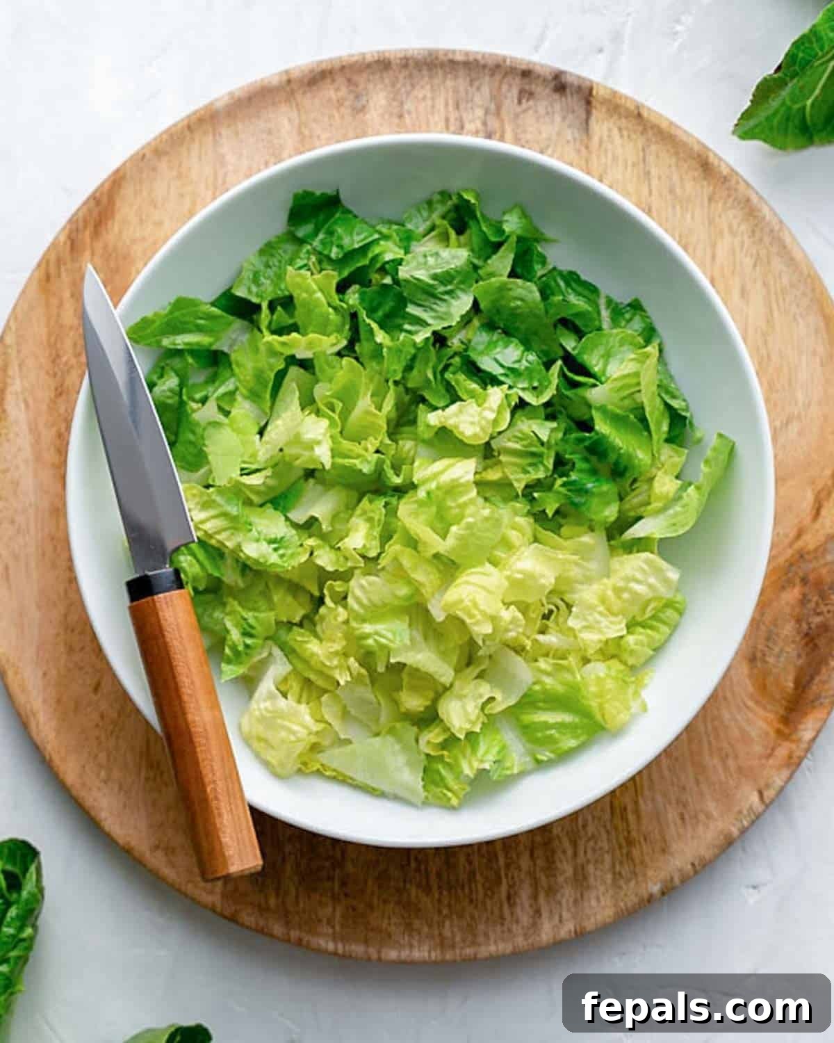 A beautifully arranged plate of freshly chopped romaine lettuce, highlighting its crisp texture and vibrant green color.