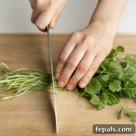 Chop Cilantro Like a Pro 3 chopping cilantro stems