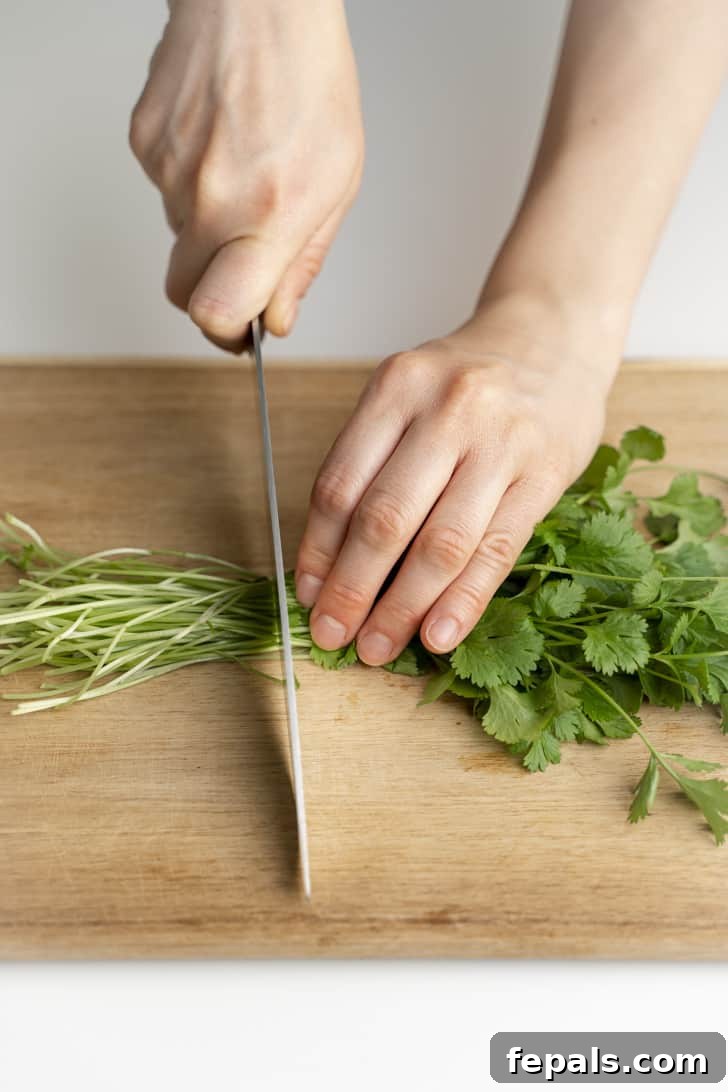 How To Cut Cilantro slicing the cilantro with knife