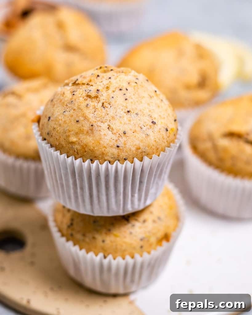 Two perfectly baked, golden-brown lemon poppy seed muffins stacked on top of each other, showcasing their fluffy texture and speckles of poppy seeds.