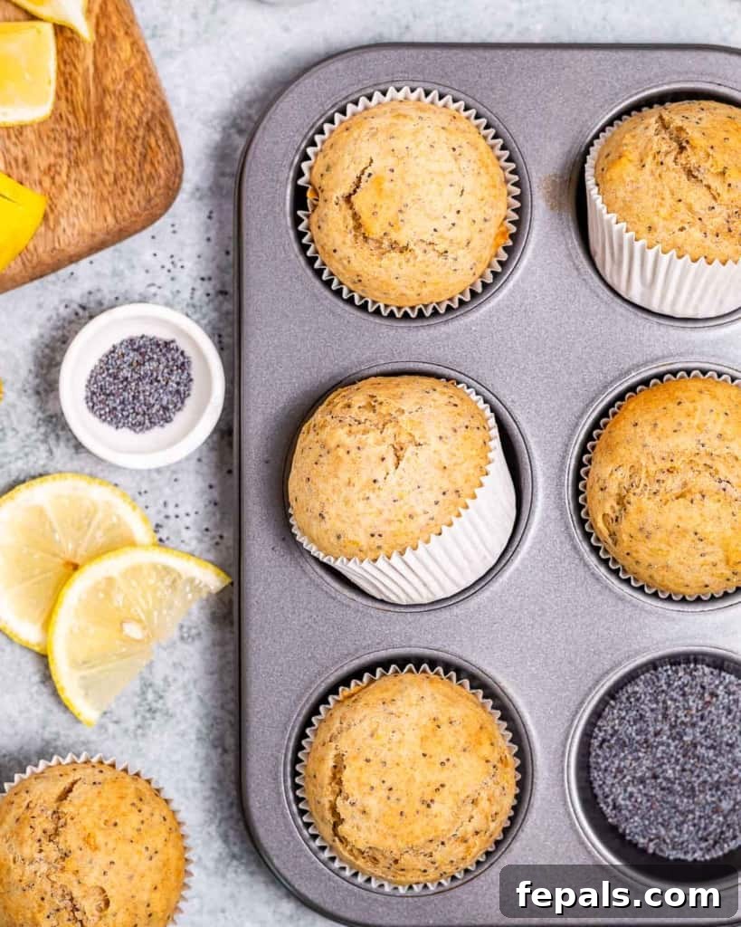 A top-down perspective of a baking pan filled with freshly baked lemon poppy seed muffins, all beautifully risen and golden, cooling down.