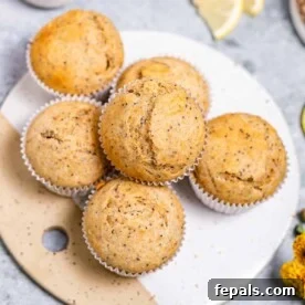 A top-down view of beautifully arranged lemon poppy seed muffins on a white platter, highlighting their golden tops and tender texture.
