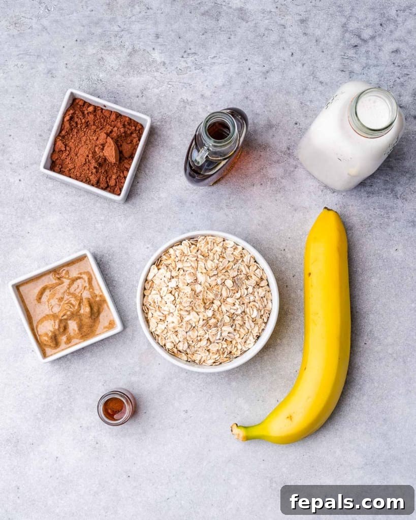 ingredients to make the chocolate oatmeal bow. milk, banana, oatmeal, maple syrup, peanut butter, cocoa powder, and vanilla