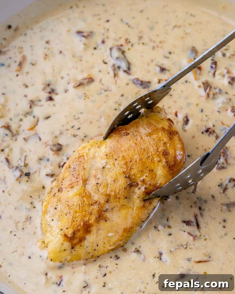 Engagement Skillet Chicken 7 Using tongs to place chicken in sauce in a pan.