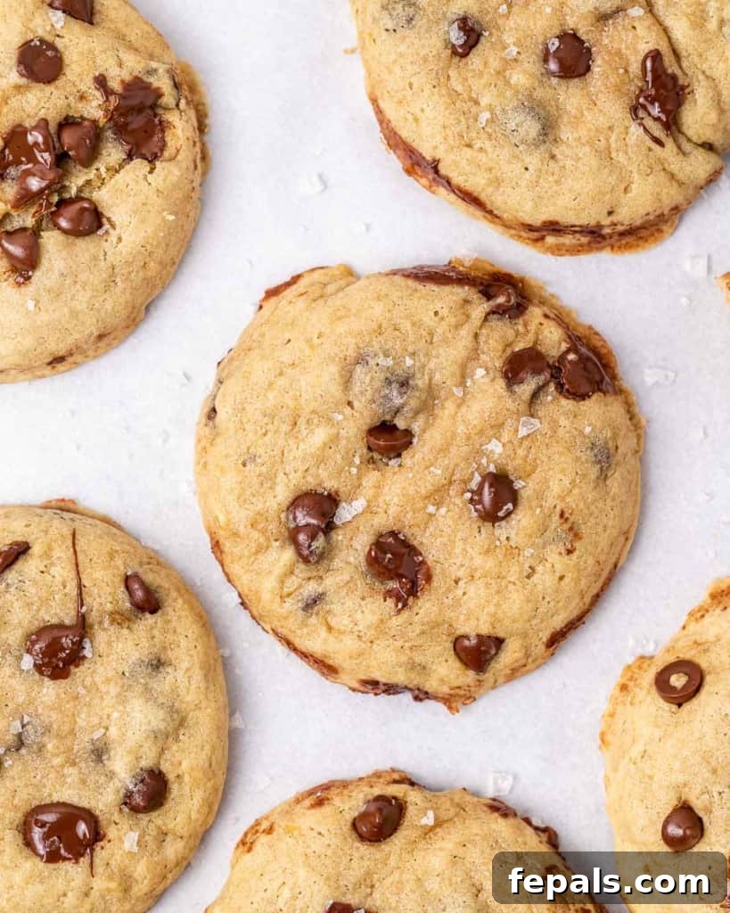 A top-down view of a beautifully baked batch of vegan chocolate chip cookies, perfectly golden brown and arranged on a flat surface, ready to be enjoyed.