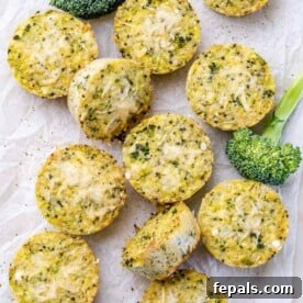 Overhead shot of several broccoli cheddar quinoa bites arranged on a white background next to some broccoli.