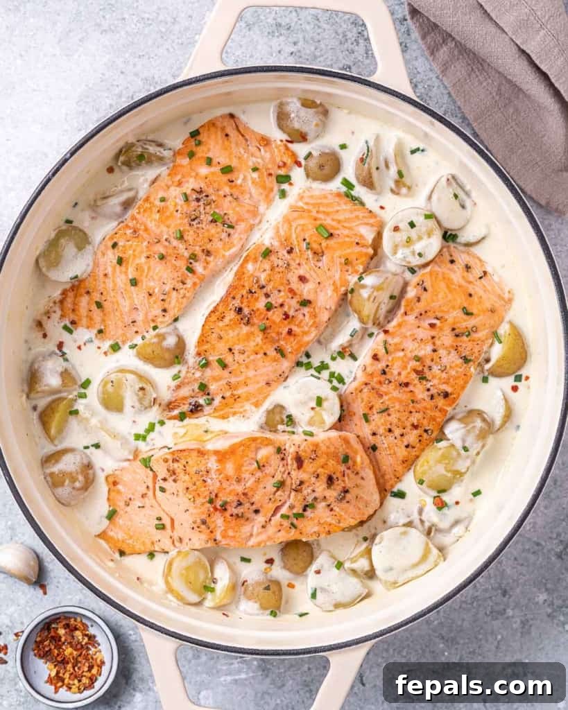 Top view of a beautifully arranged salmon and potato skillet in a creamy white sauce, garnished with fresh herbs.