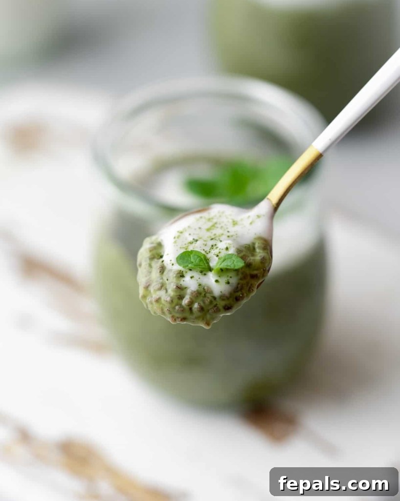 A spoon full of luscious matcha chia pudding, highlighting its creamy texture and vibrant green color, ready to be savored.