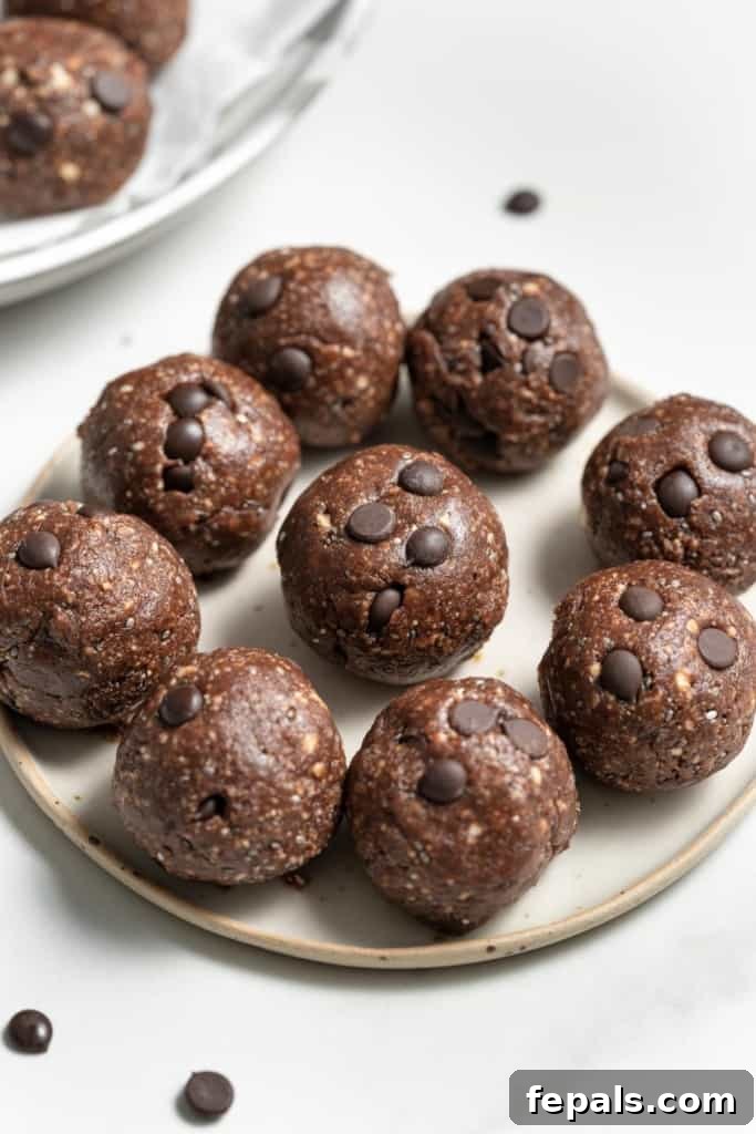 Decadent Double Chocolate Date Energy Bites 13 Energy balls made with cocoa powder and chocolate chips, perfectly rounded and presented on a white plate.