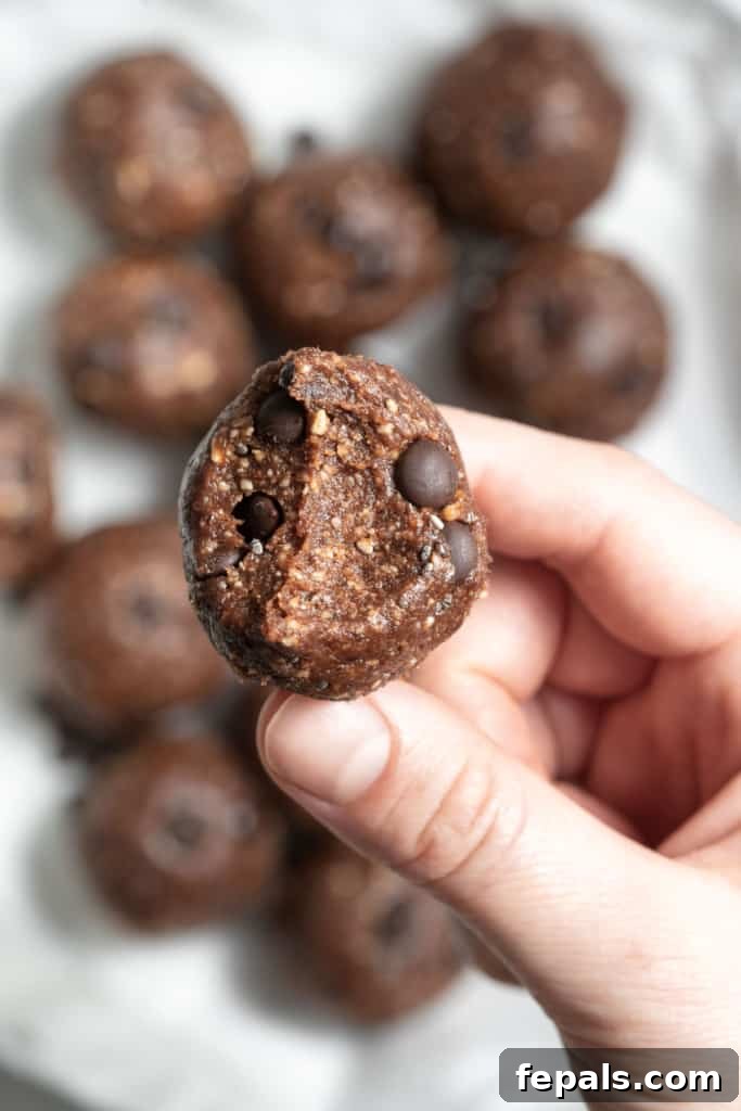 Decadent Double Chocolate Date Energy Bites 3 A hand gently holding a double chocolate chip snack ball, highlighting its rich texture and visible chocolate pieces.