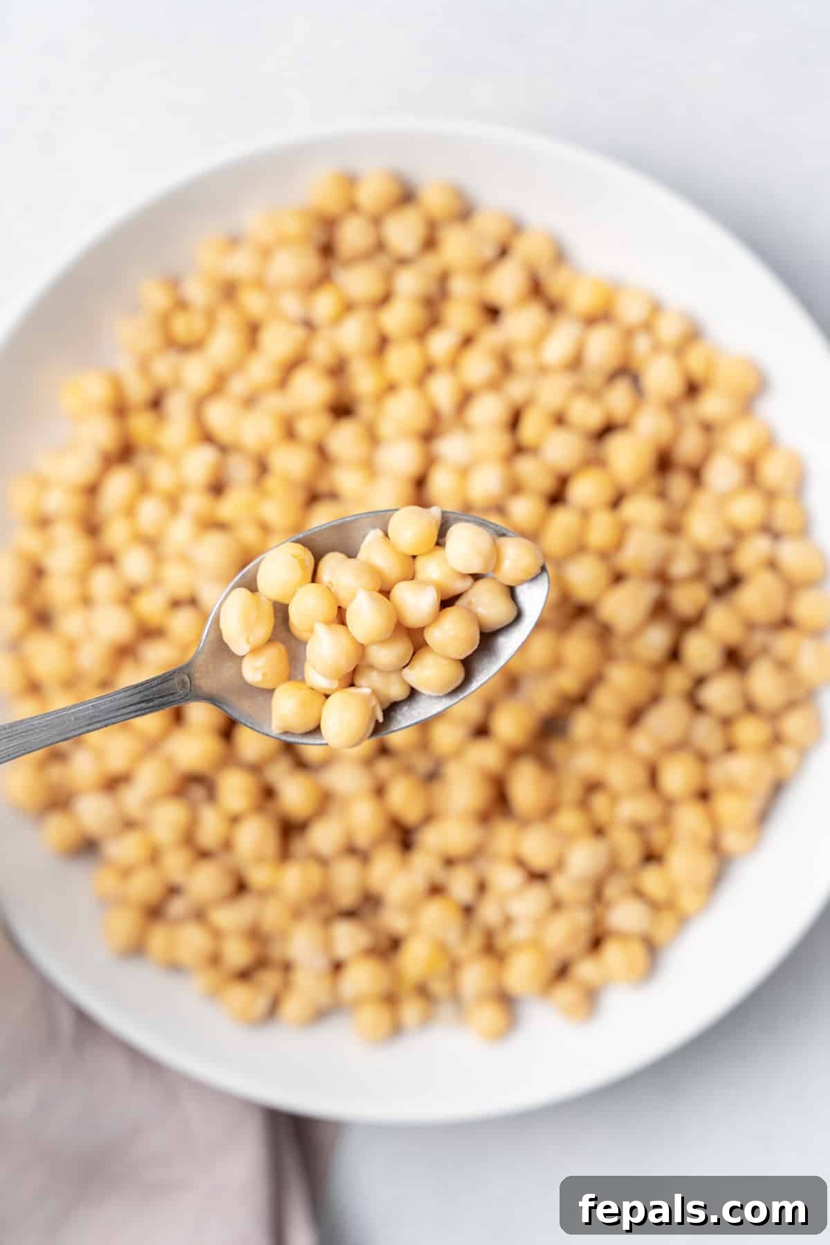Your Guide to Perfectly Cooked Chickpeas 2 Spoonful of cooked chickpeas over a plate full of chickpeas.