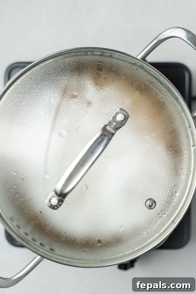Your Guide to Perfectly Cooked Chickpeas 9 Cooking chickpeas with a lid on a pot.