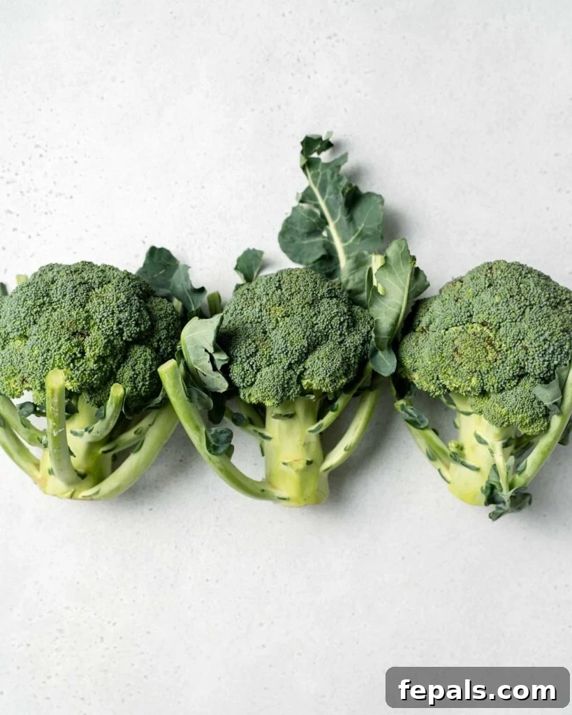 Stovetop Broccoli Perfection 2 Three fresh heads of broccoli arranged on a flat surface, ready for preparation.