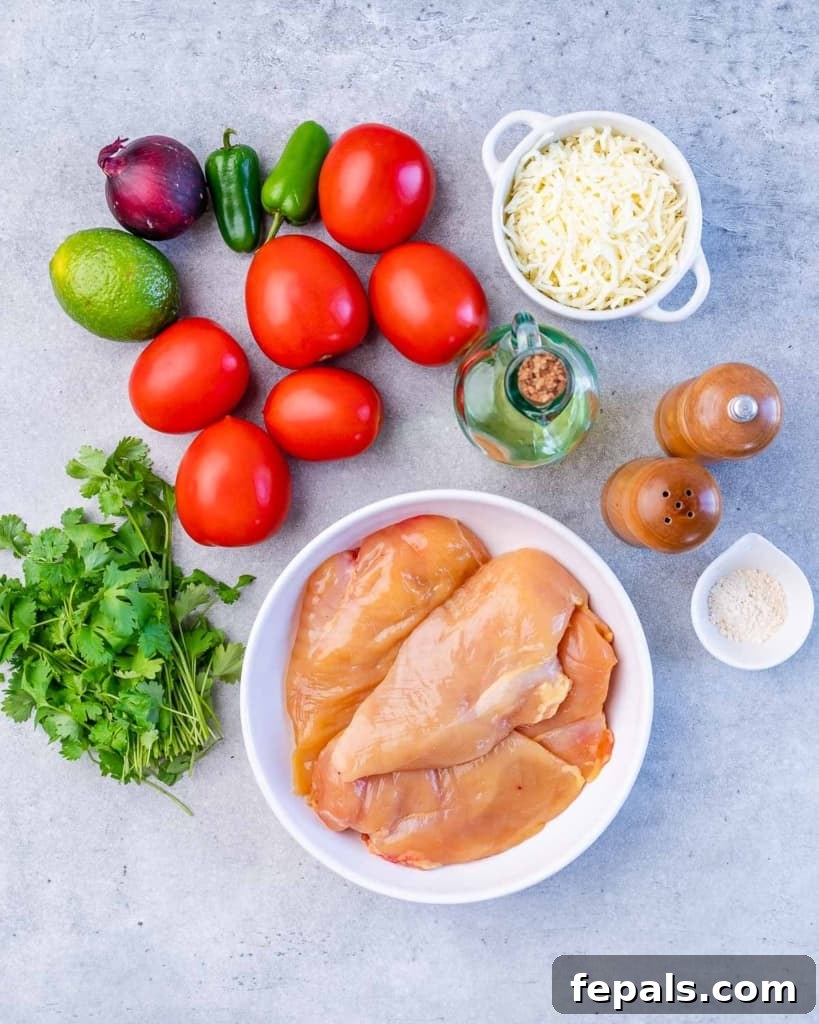 Zesty Salsa Fresca Chicken Bake 4 ingredients laid out to make salsa fresca chicken breast