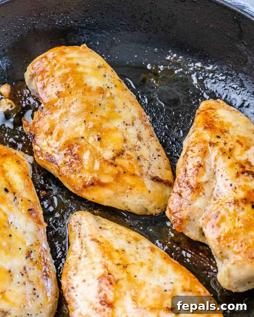 Zesty Salsa Fresca Chicken Bake 5 seared chicken breast over a black skillet