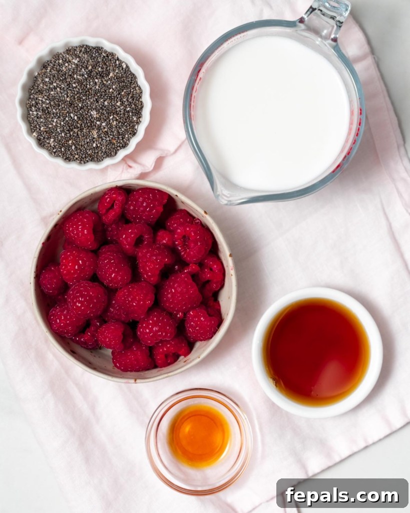 ingredients to make chia pudding: fresh raspberries, maple syrup, milk, chia seeds, and vanilla, neatly arranged