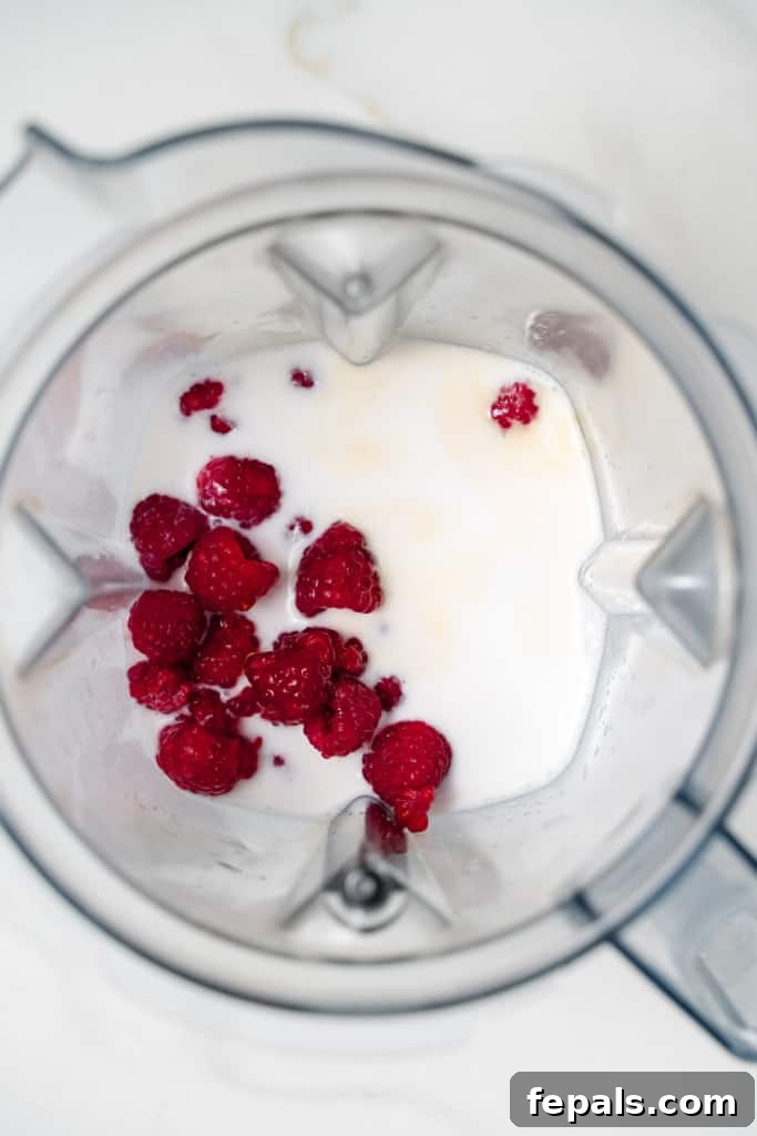 ingredients to make chia pudding added to blender before blending