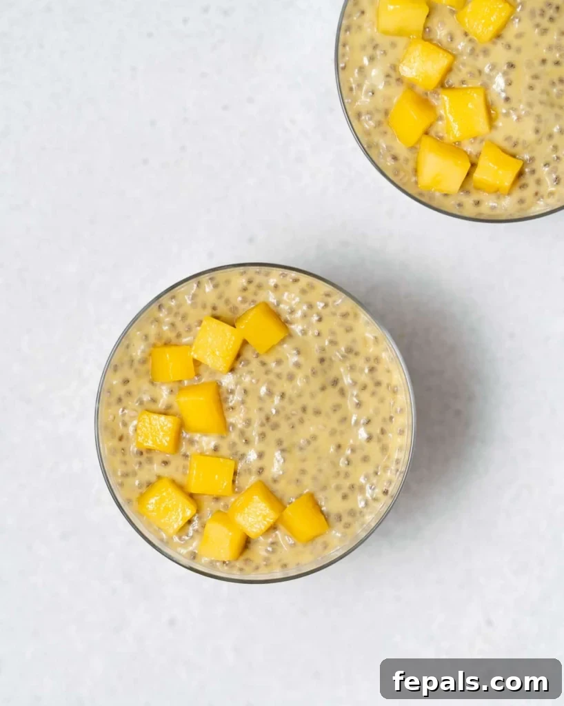 Tropical Mango Chia Bliss 13 mango chunks added over a cup of chia pudding