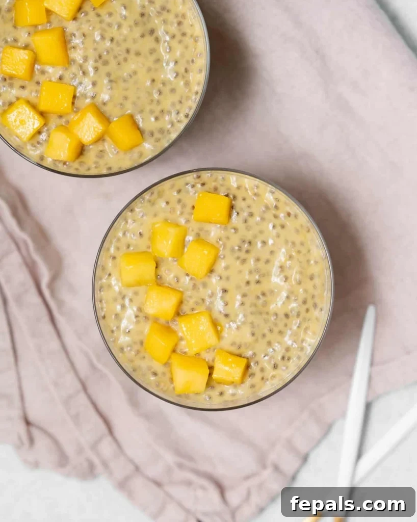 Tropical Mango Chia Bliss 16 top view chia pudding in a cup