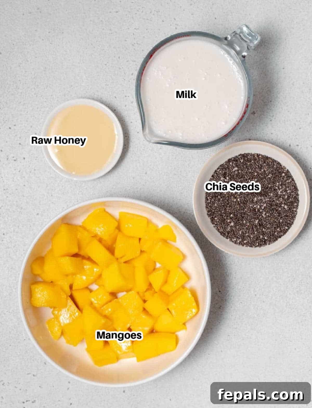 Tropical Mango Chia Bliss 4 ingredients to make mango chia pudding.