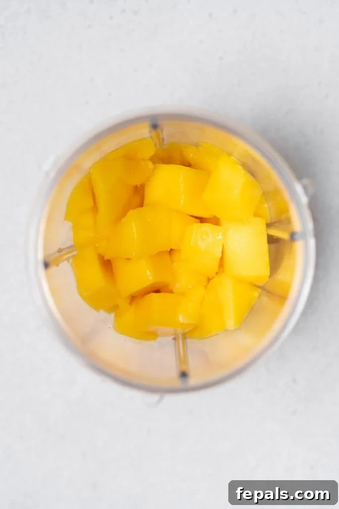 Tropical Mango Chia Bliss 5 mango chunks in blender
