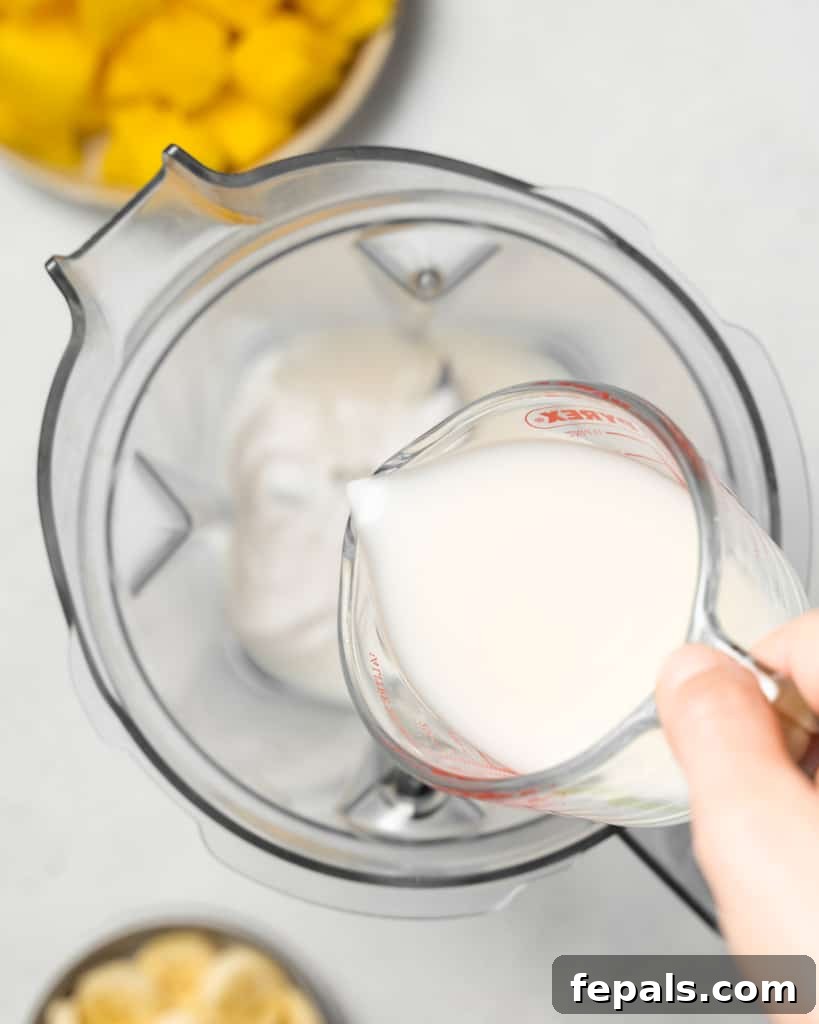 Tropical Mango Delight 5 Adding milk and yogurt to a blender.
