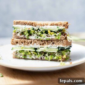 Elegant Cucumber Delights 17 side shot of cucumber sandwich sliced in half on a plate