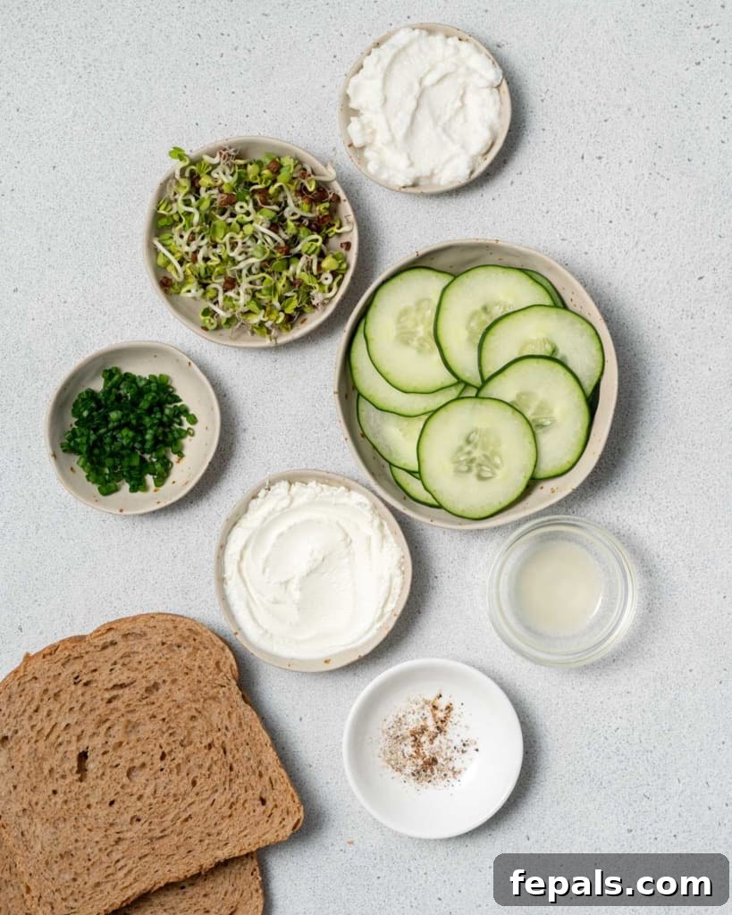 Elegant Cucumber Delights 4 Cream cheese, ricotta cheese, sliced cucumbers, bread and sprouts divided into small portions.