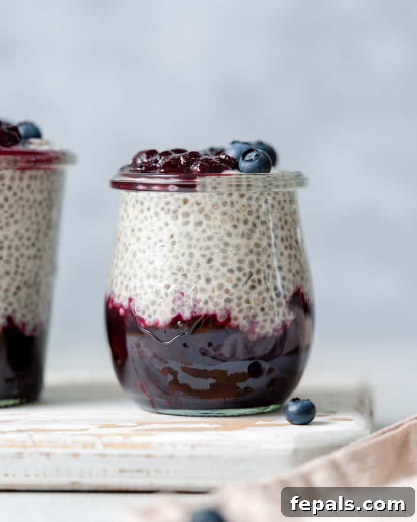 Side shot of blueberry chia pudding in a jar topped with fresh blueberries, showcasing a beautiful presentation.