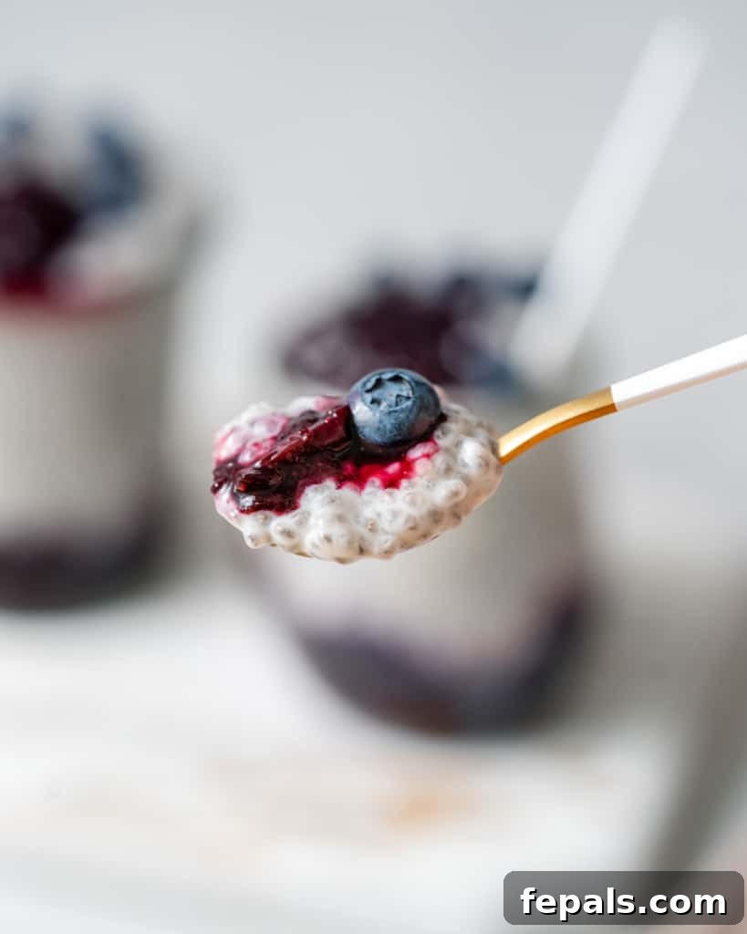 Spoonful of creamy coconut chia pudding with a blueberry on top, highlighting the texture and fresh fruit.