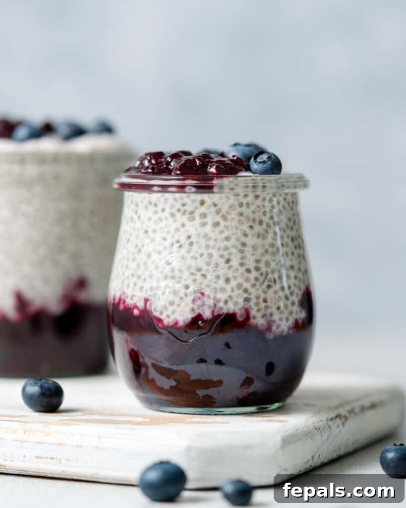 Side shot of blueberry chia pudding in a jar topped with fresh blueberries, ready to be enjoyed.