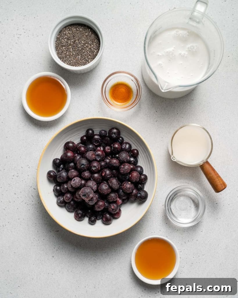Blueberries, milk, honey, chia seeds, and vanilla extract neatly arranged in small portions, ready for use.
