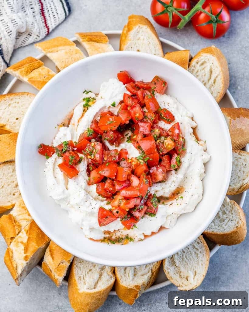 Fluffy Ricotta Dip 2 top view whipped ricotta cheese in a round white bowl, topped with a balsamic tomato blend, with fresh basil garnish.