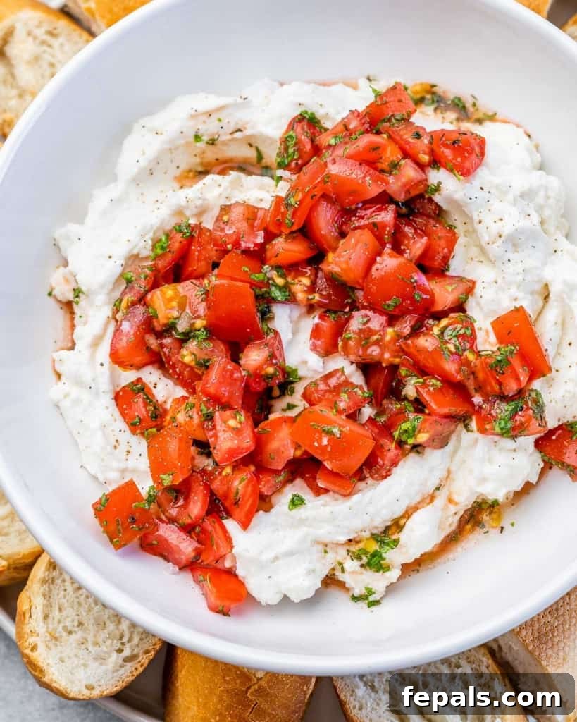 Fluffy Ricotta Dip 3 close up of whipped cheese topped with balsamic tomatoes in a round white bowl, garnished with a sprig of fresh basil