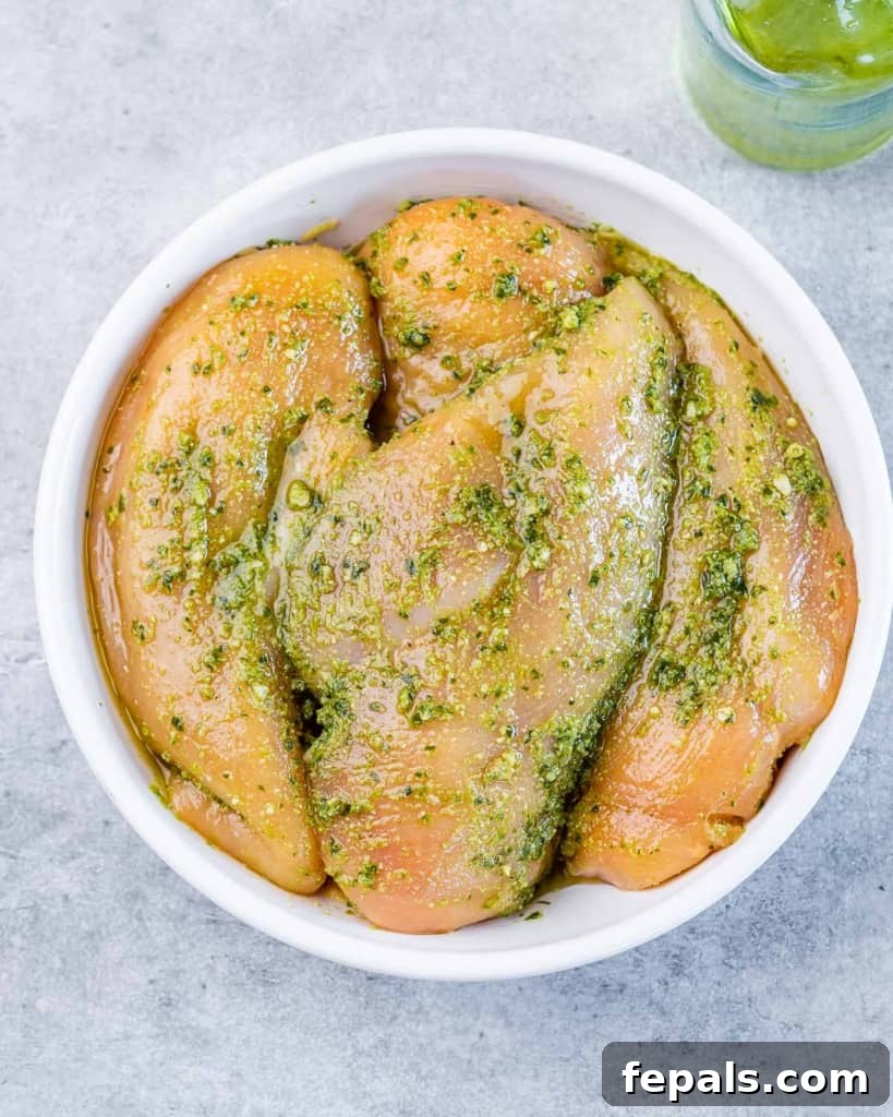 Pesto Perfection Chicken 5 chicken seasoned in pesto sauce