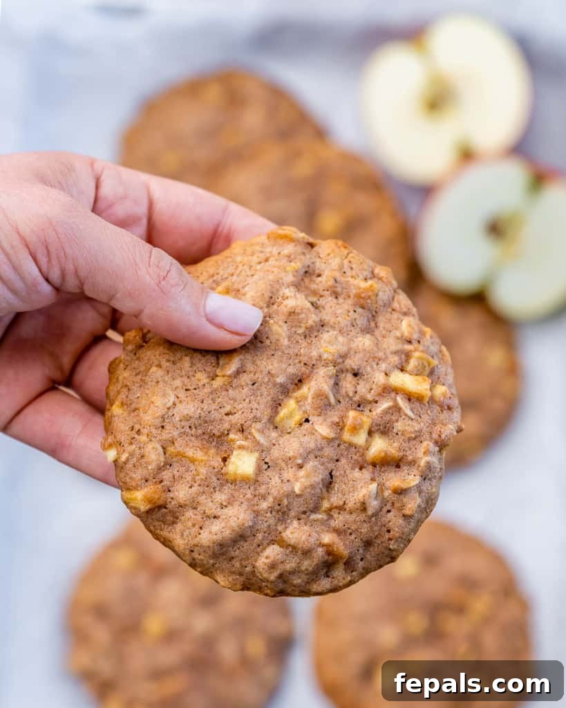 Warm Apple Cinnamon Oat Cookies 9 Hand holding one oatmeal cookie