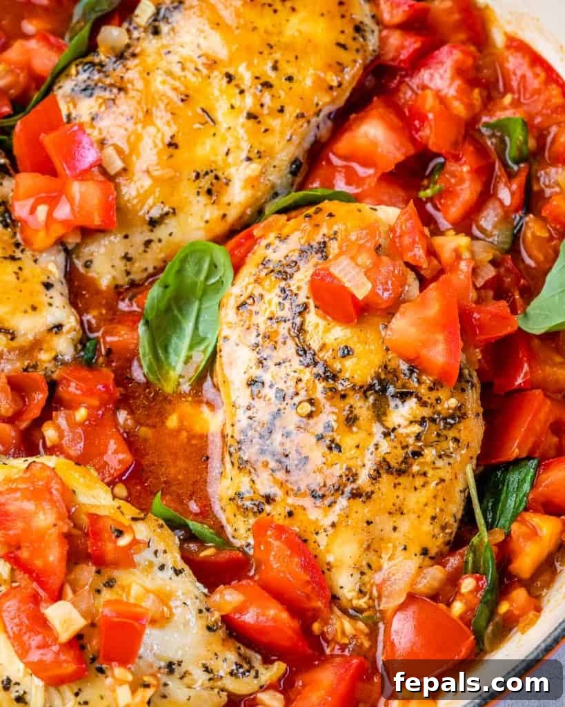 Tuscan Chicken Pomodoro 9 Chicken pomodoro topped with fresh basil leaves.