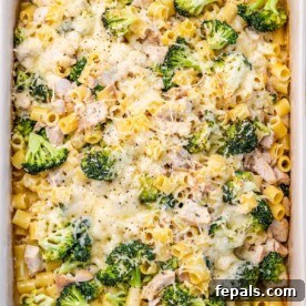 Chicken and pasta baked on a white dish with broccoli topped with cheese.