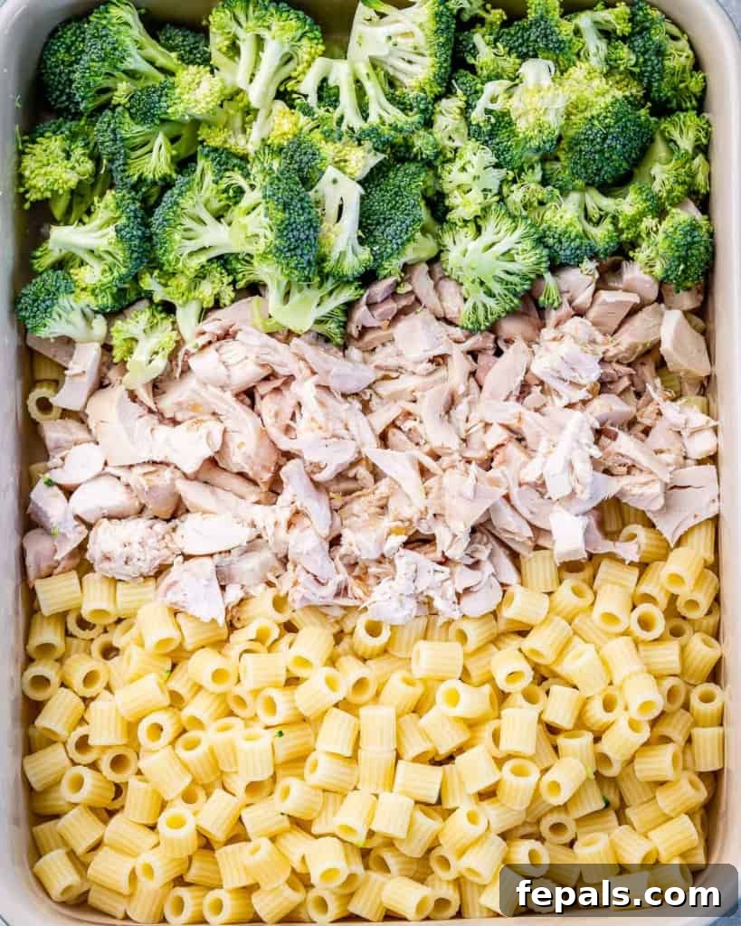Pasta, broccoli florets and chicken added to a casserole dish, ready for sauce.