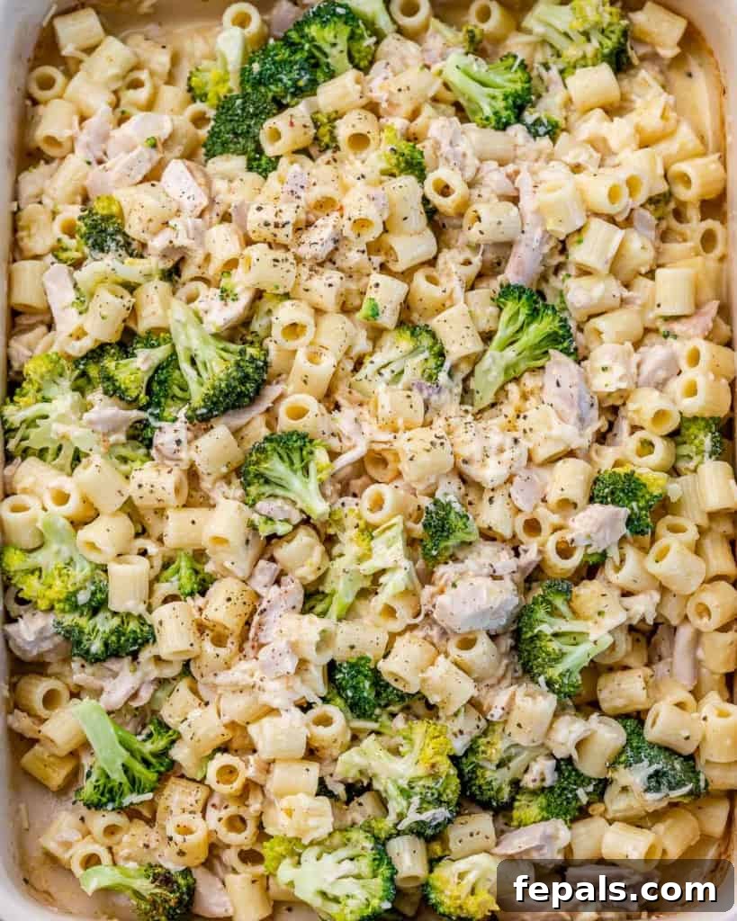 Top view close up image of creamy chicken alfredo baked in a dish with broccoli and melted cheese