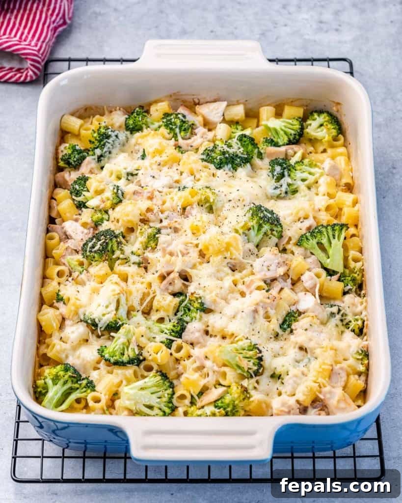 Chicken Alfredo bake in a casserole dish on a wire rack, ready to cool.