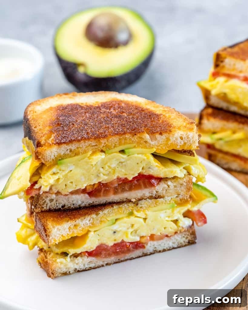 A beautifully presented breakfast sandwich made with egg, fresh tomato slices, creamy avocado, and melted cheese, resting on a white plate.