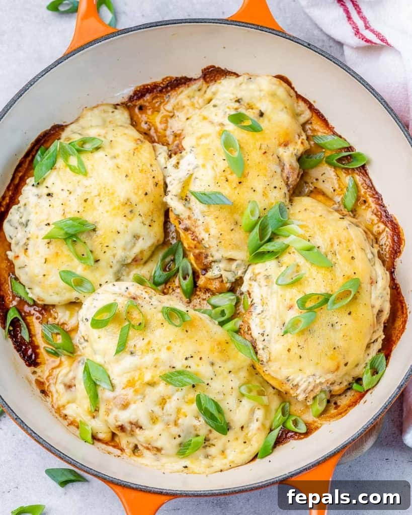 Top view of 4 baked chicken breasts on a skillet topped with melted cheese.