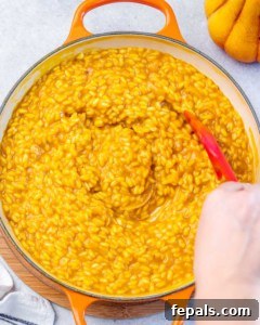Velvet Pumpkin Risotto Easy Autumn Meal 13 Stirring parmesan cheese into pumpkin risotto.