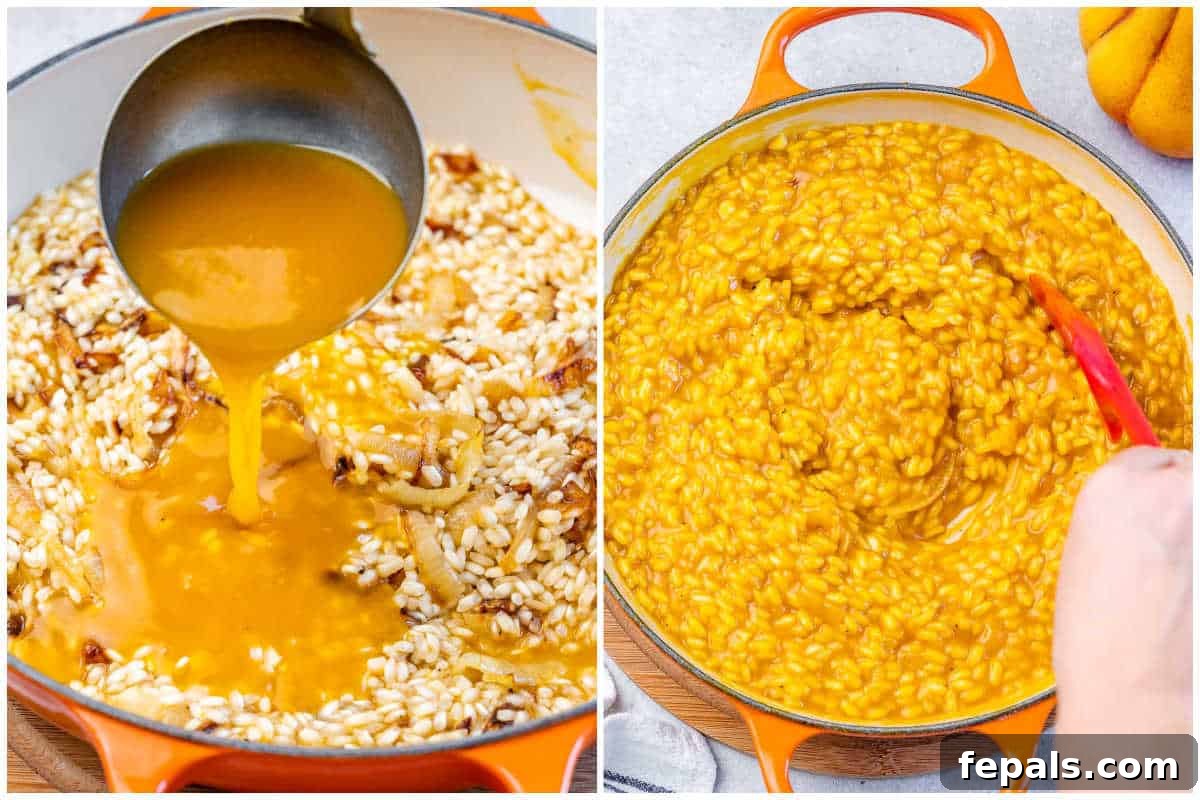 Velvet Pumpkin Risotto Easy Autumn Meal 5 Process shot of adding the warm pumpkin stock mixture onto the toasted rice in a pan.