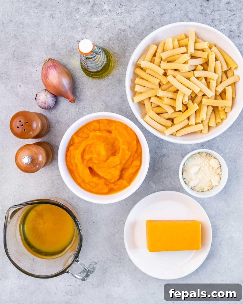 A selection of ingredients laid out on a counter, including pasta, a can of pumpkin, shallots, garlic, and cheese, ready to make pumpkin pasta.