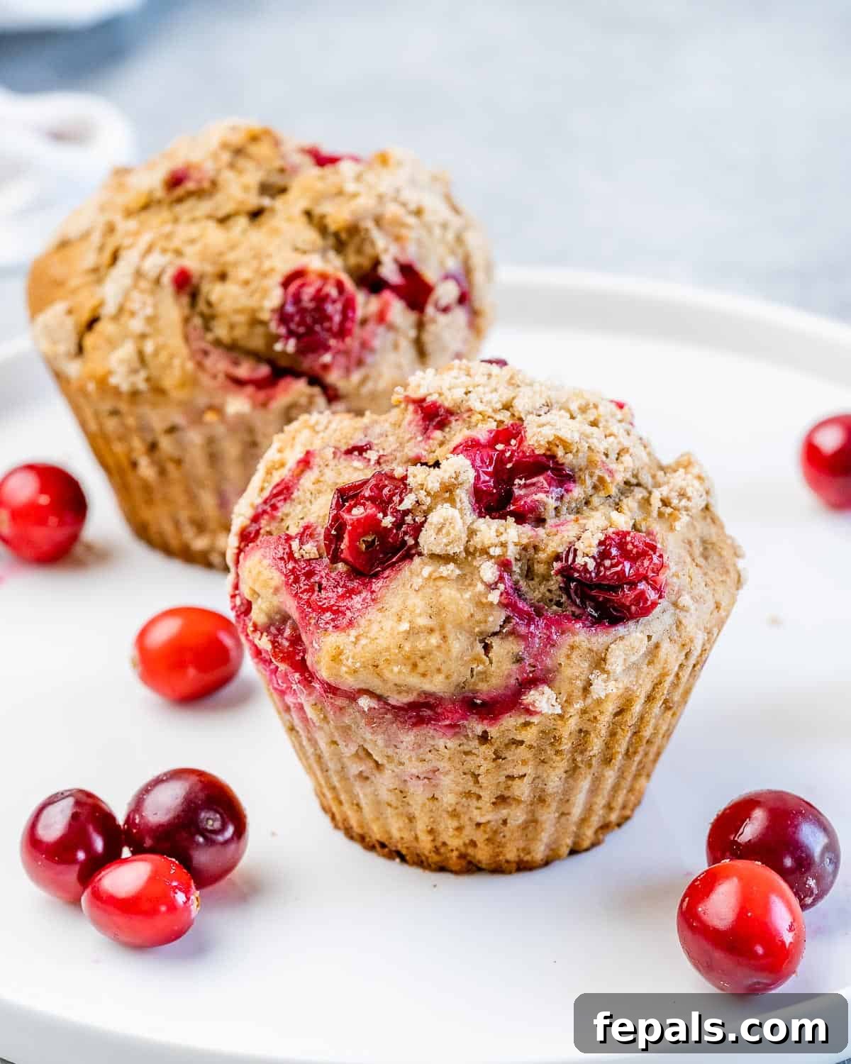 Wholesome Cranberry Orange Muffins 2 Side shot of a single muffin made with cranberries that are oozing from the muffin.