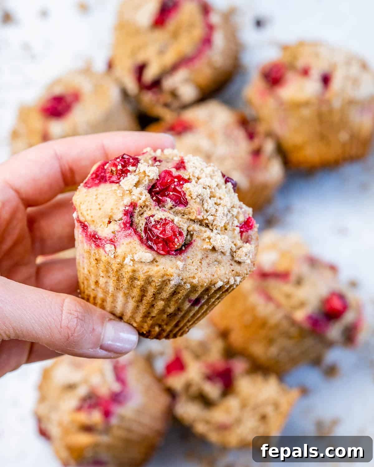 Wholesome Cranberry Orange Muffins 3 Woman's hand holding a orange cranberry muffin.