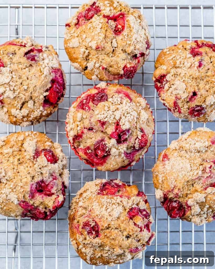 Wholesome Cranberry Orange Muffins 8 Orange cranberry muffins on a wire rack.