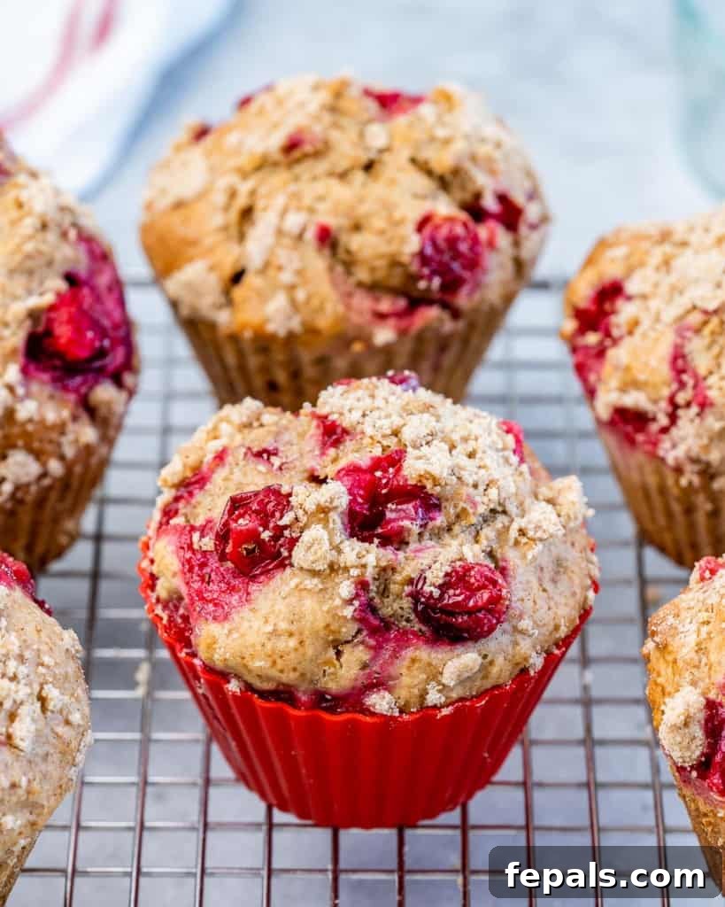 Wholesome Cranberry Orange Muffins 9 cranberry muffins on a wire wrack